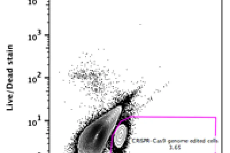 Flow Cytometry