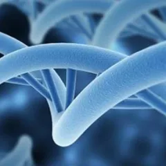 Genomics